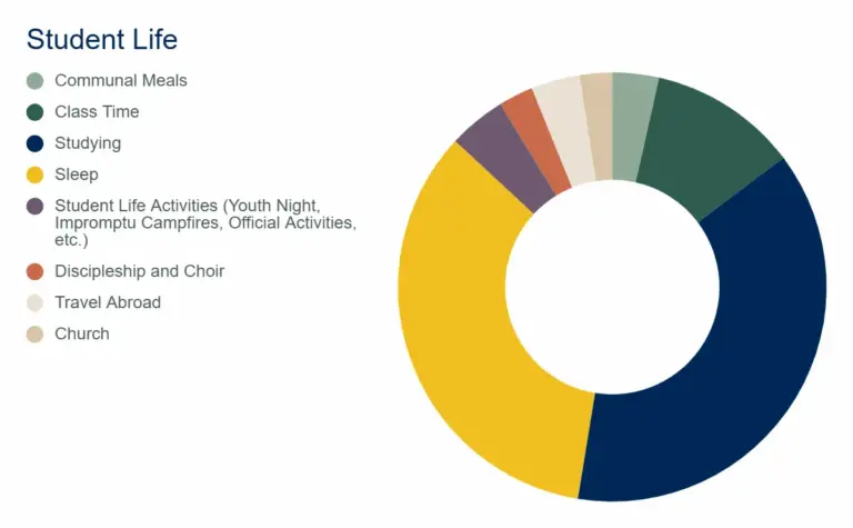 A chart showing how typical on-campus students spend their time